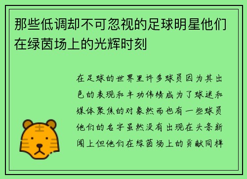 那些低调却不可忽视的足球明星他们在绿茵场上的光辉时刻